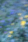 USA-New Jersey-Cape May National Seashore Abstract of flowers Art Print
